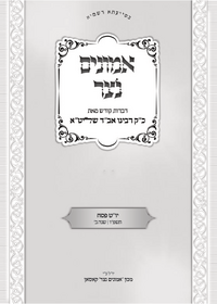 תמונה ממוזערת של אמונים נצר